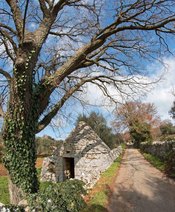 Casa Emilia Daire Monopoli Dış mekan fotoğraf